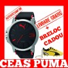 Ceas Puma
